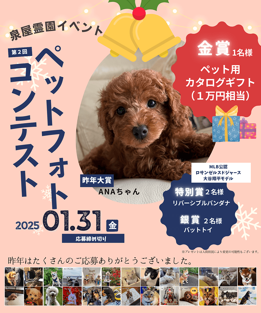 petphoto2024